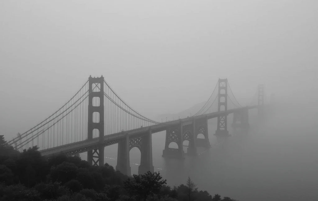 Foggy elevated highways/bridges with buildings