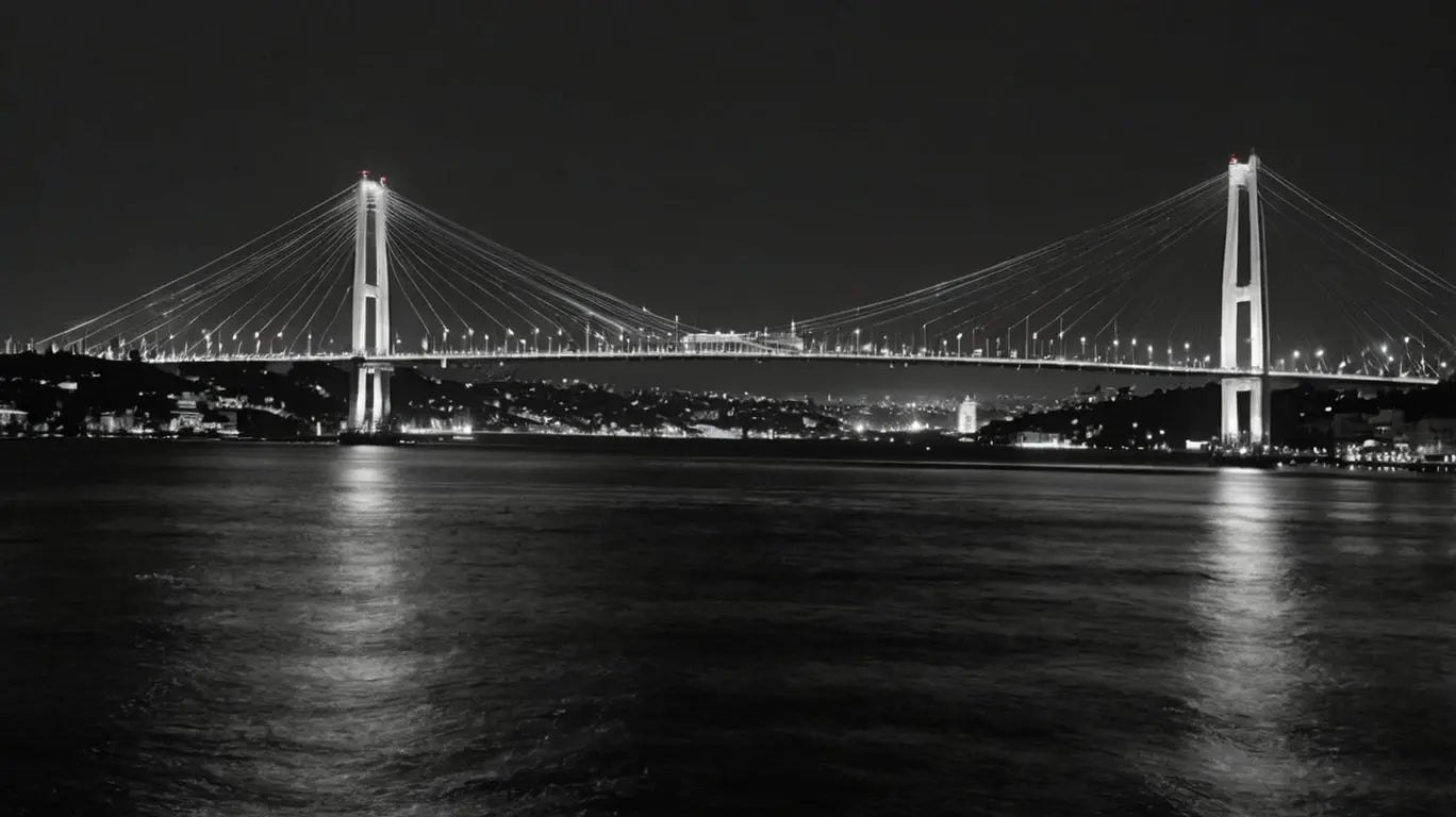 Leonardo_Kino_XL_A_black_and_white_panoramic_view_of_Istanbuls - My Store