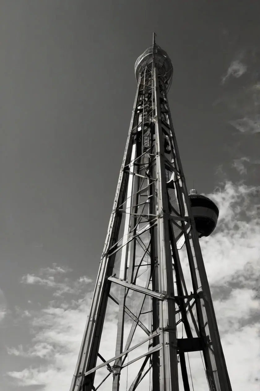 Sacred Lotus Temple Print - Indian Architecture Art My Store
