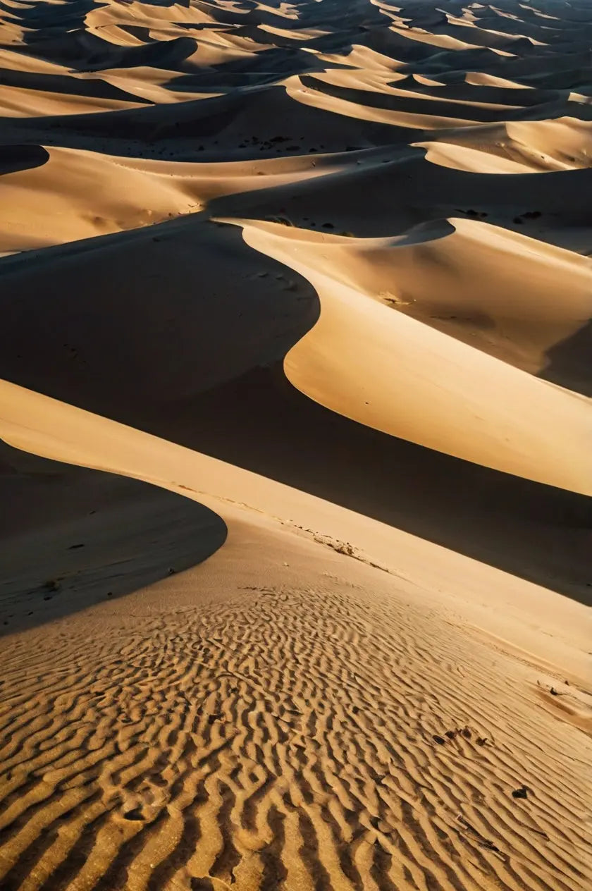 Golden Desert Dune Landscape Decor My Store