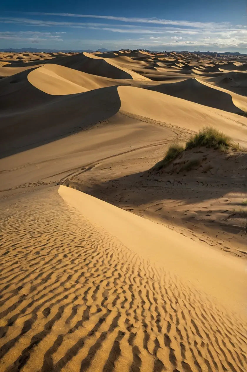 Golden Desert Dune Landscape Decor My Store