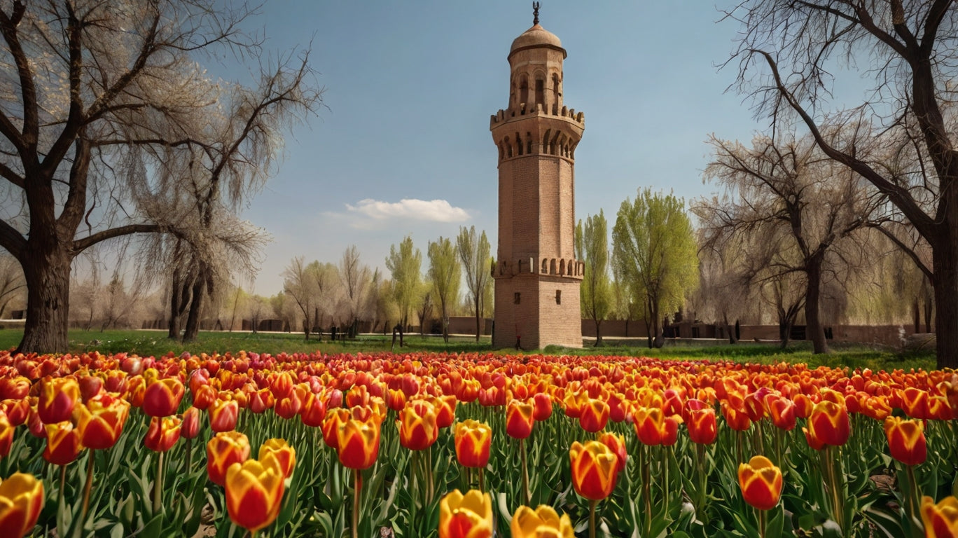 Samarkand Spring – Limited Edition Hand-Painted Cello