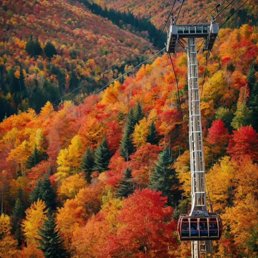 Golden Wheat Field Print My Store