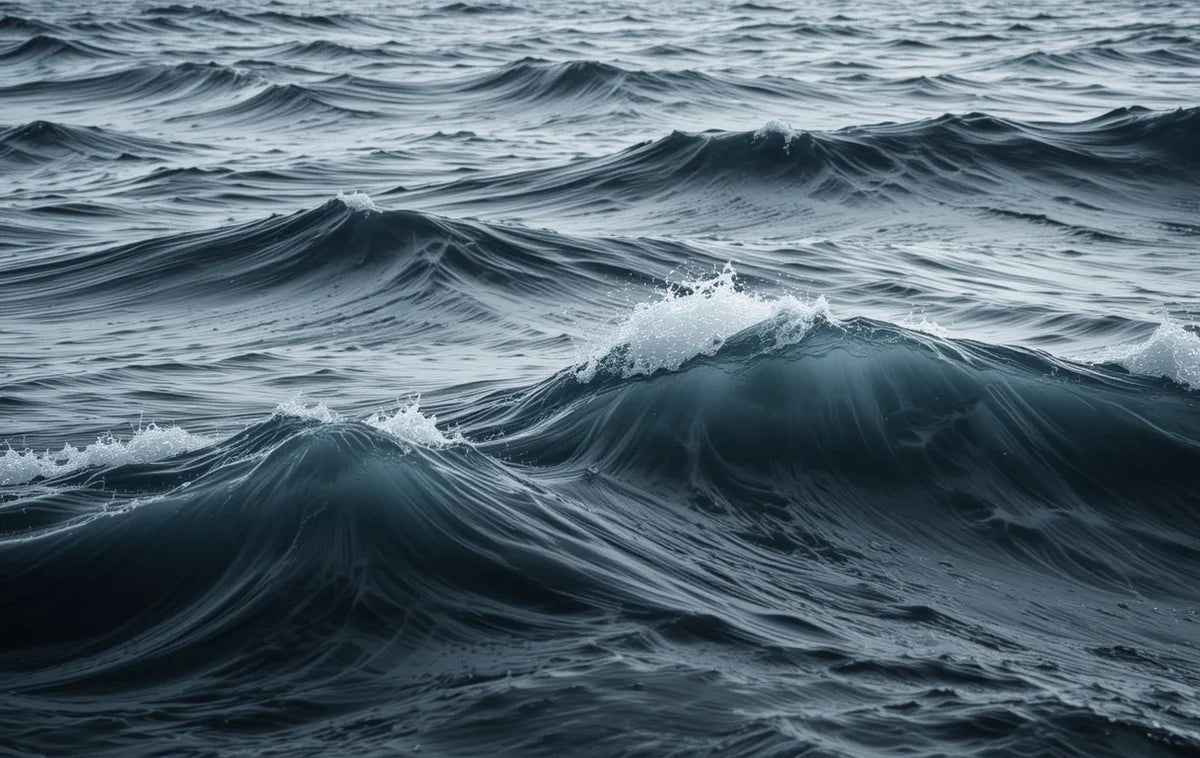 Black and White Lunar Night Sea Fine Art Print