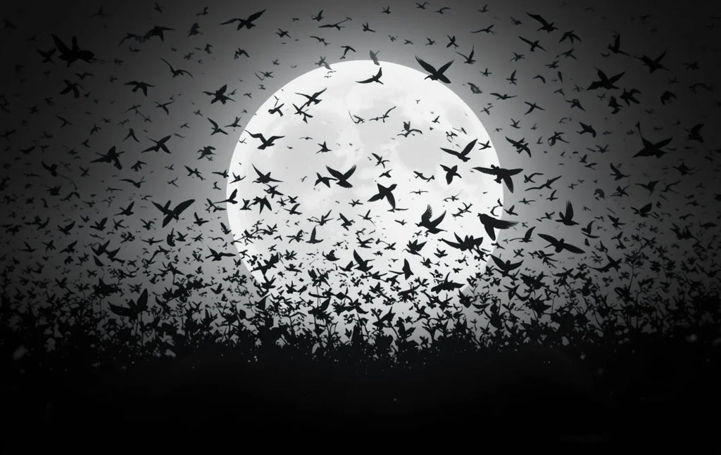 Flock of Birds Silhouetted Against Full Moon – Dramatic Black and White Wall Art  £10.00 GBP