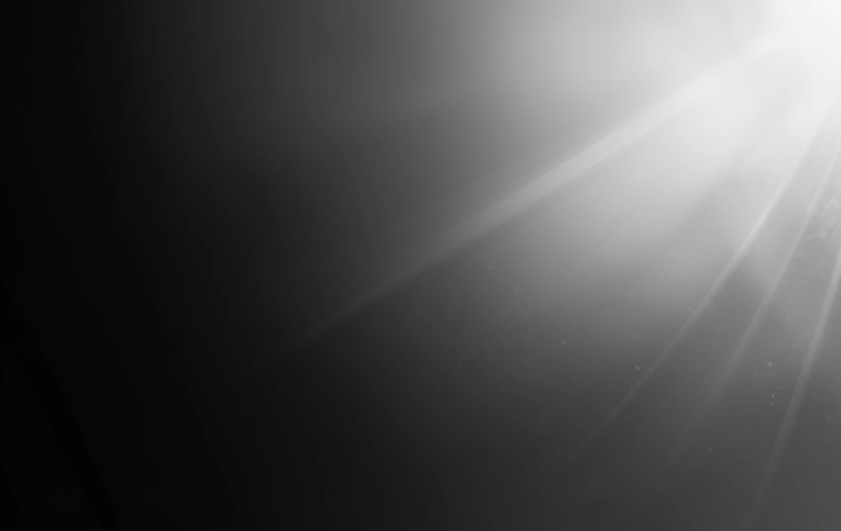 The soft fade from white to deep black with subtle texture