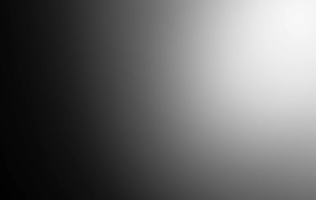 The soft fade from white to deep black with subtle texture