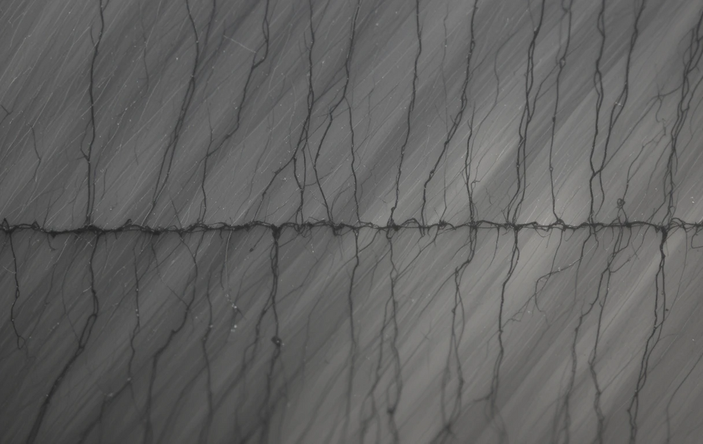 Abstract Ink Threads Monochrome Wall Decor