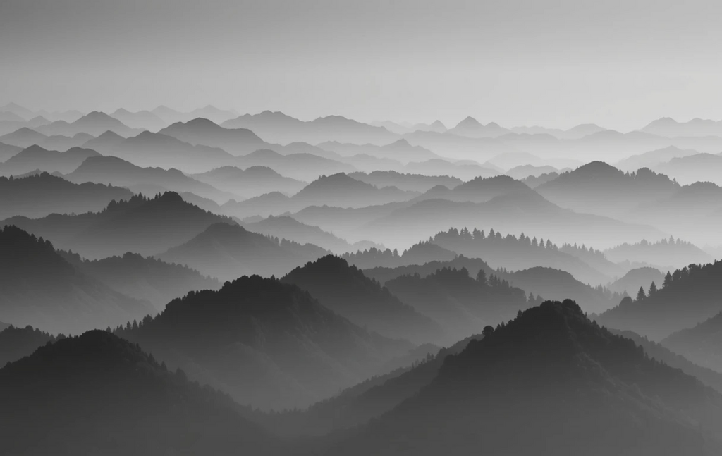 Black and White Foggy Forested Mountains Fine Art Photography